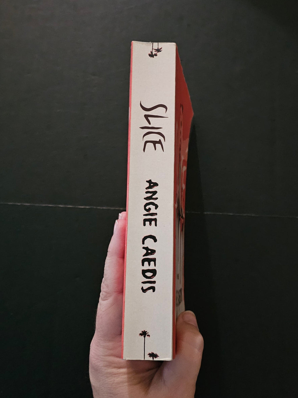 Slice