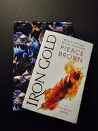 Book Dragon Themed Book Sleeve