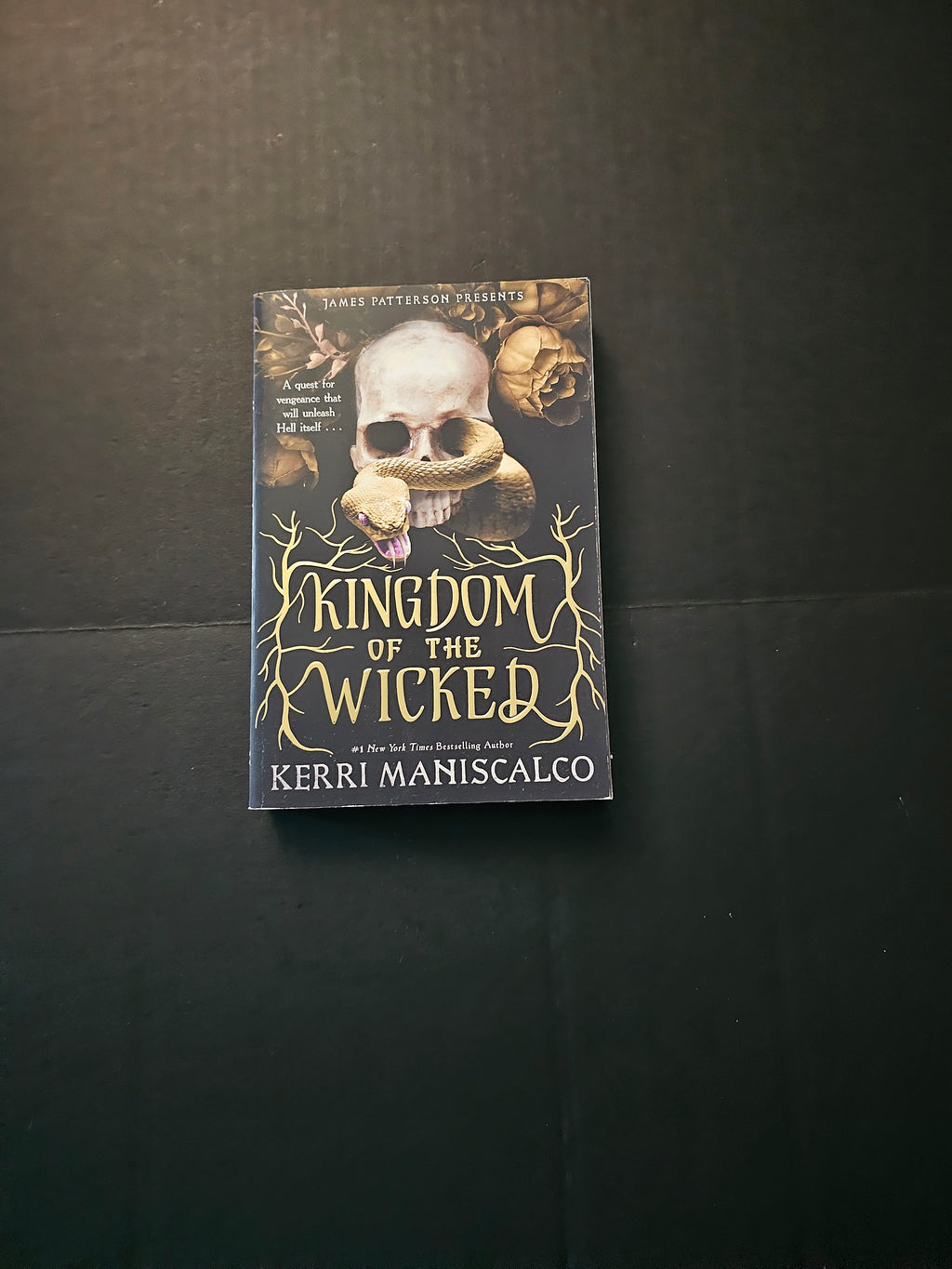 Kingdom of the Wicked