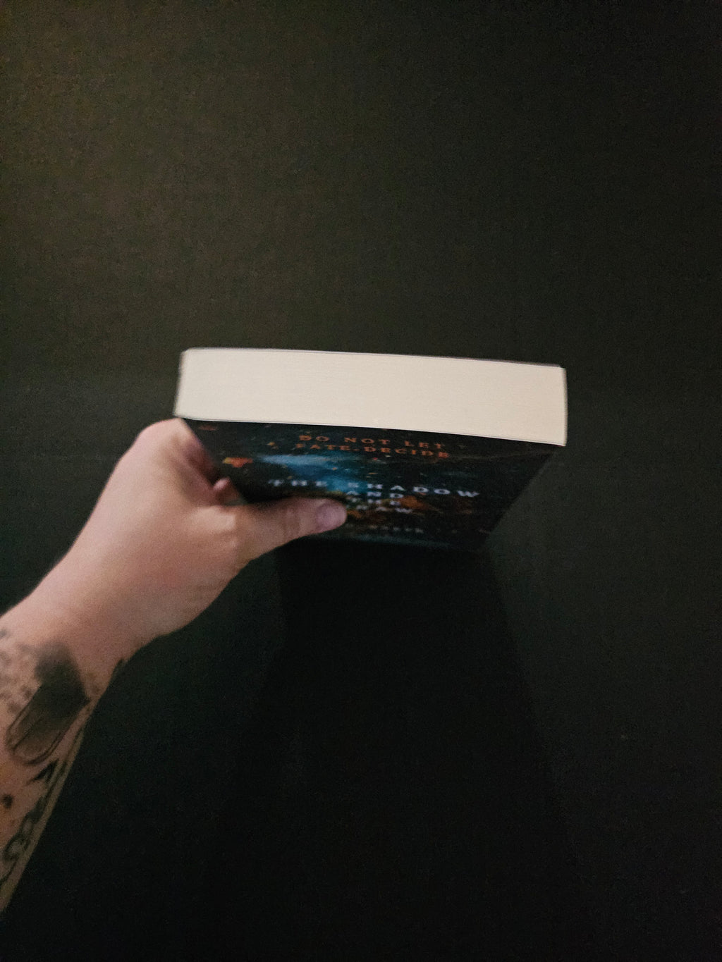 The Shadow and The Draw