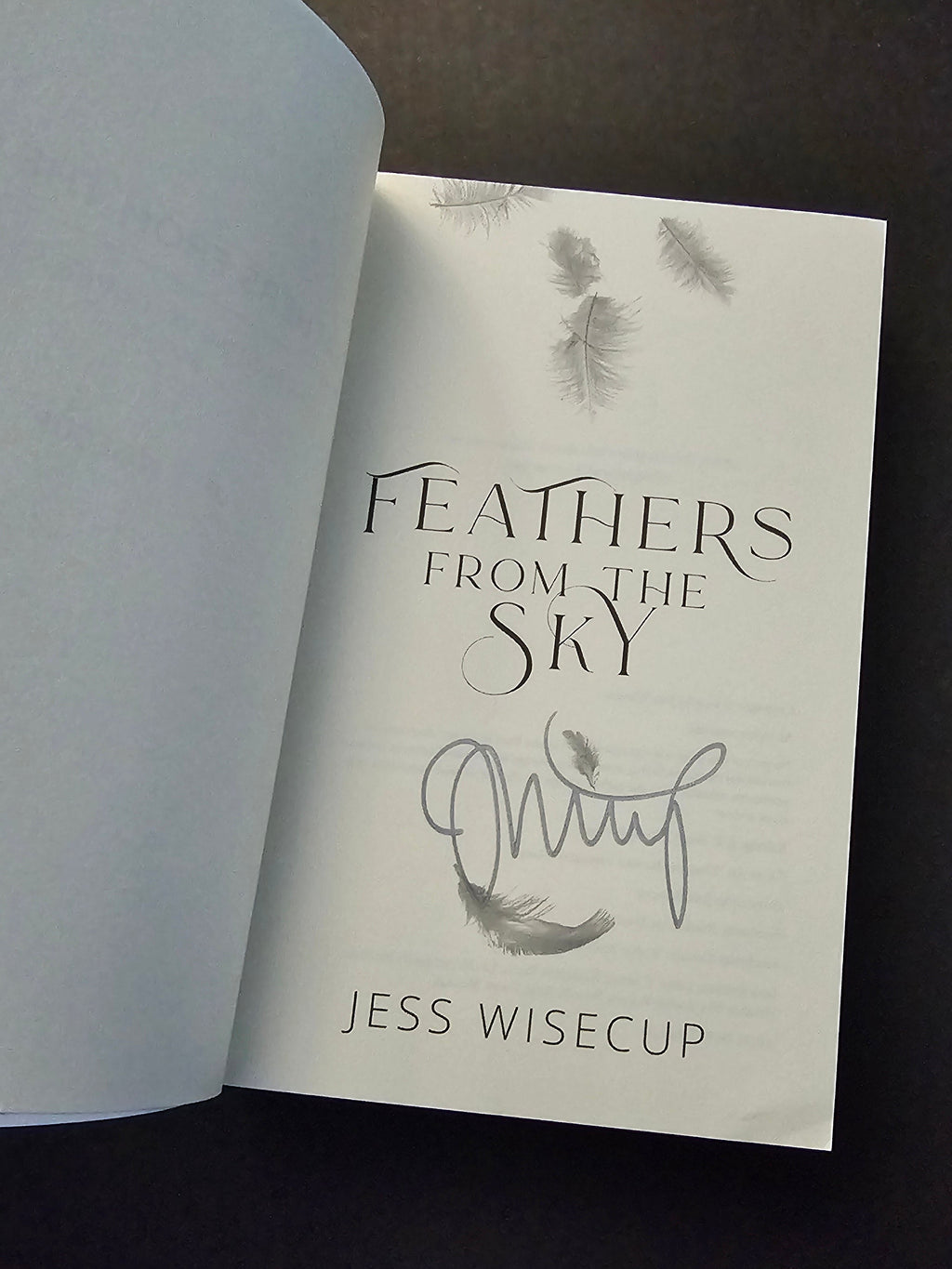 Feathers from the Sky