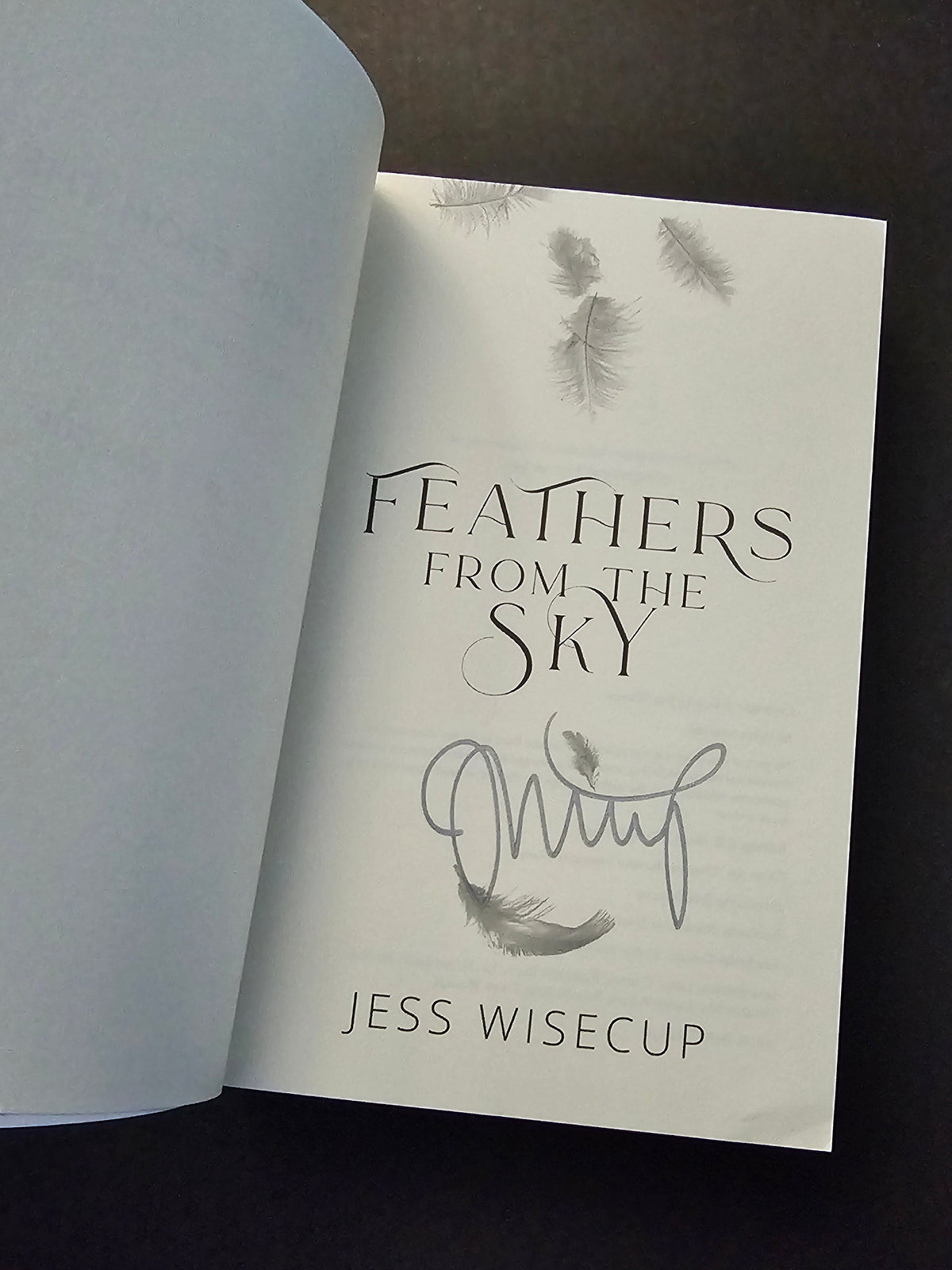 Feathers from the Sky