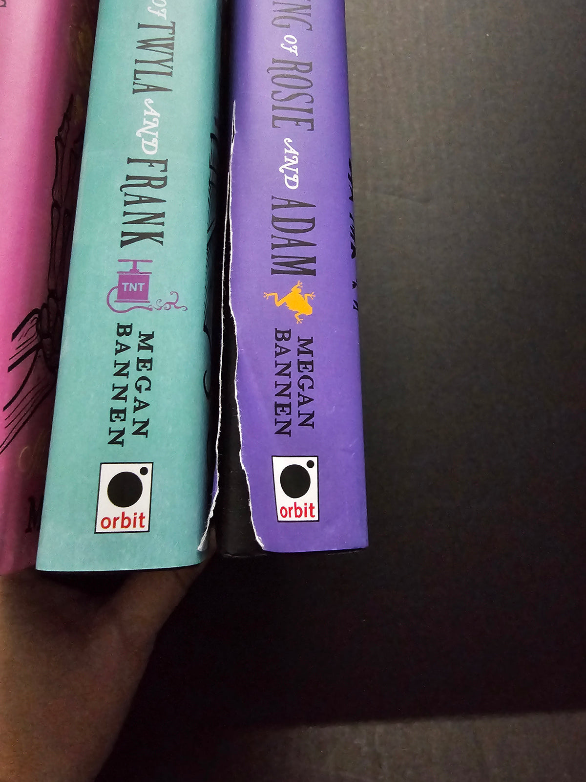 The Undertaking of Set: Hart & Mercy, Twyla & Frank, Rosie & Adam - Fairyloot Edition