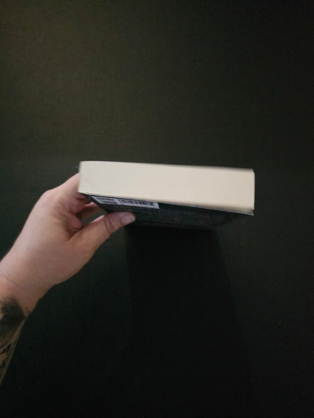 The Shadow and The Draw