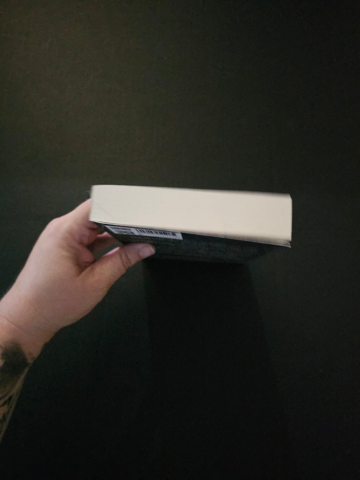 The Shadow and The Draw