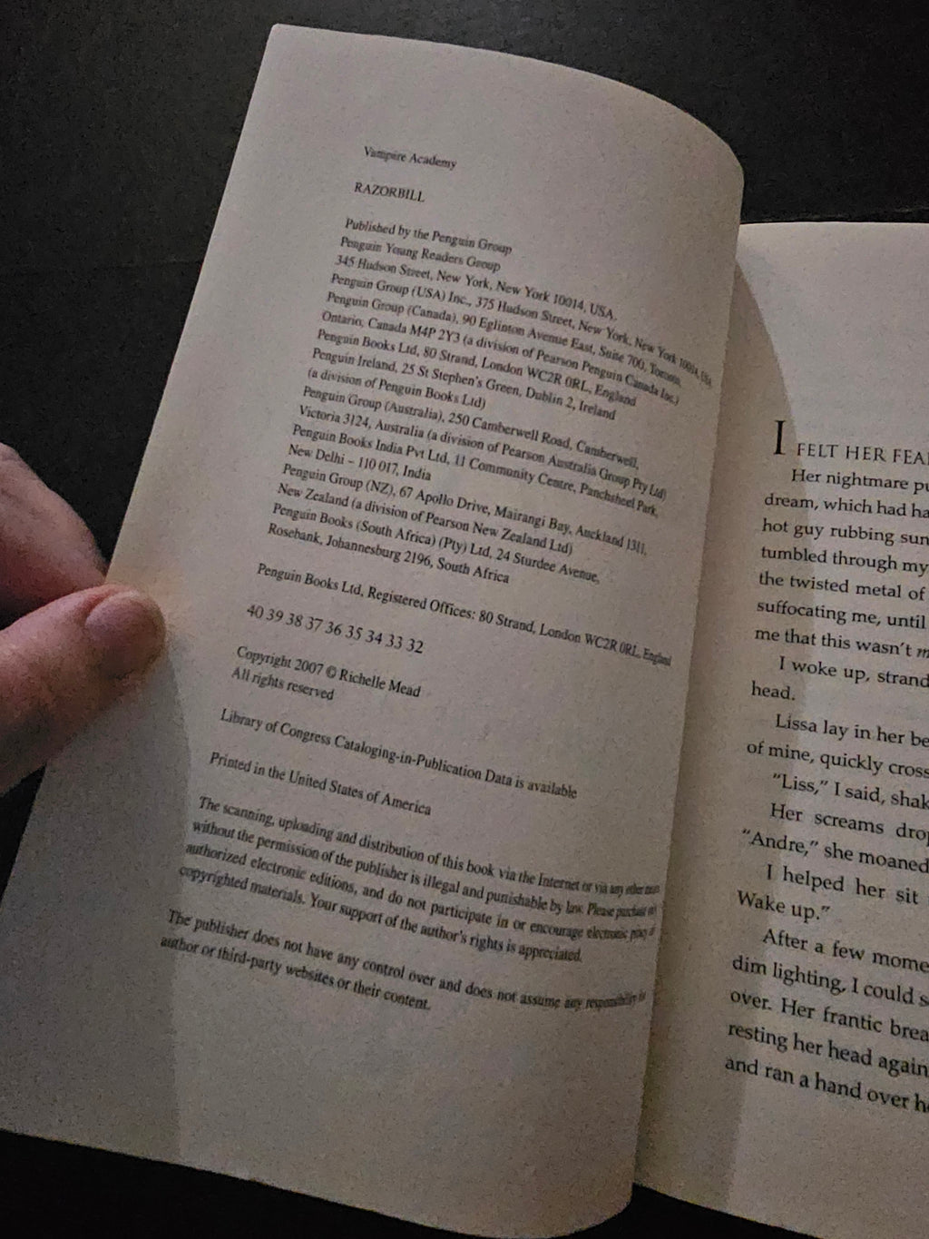 Vampire Academy