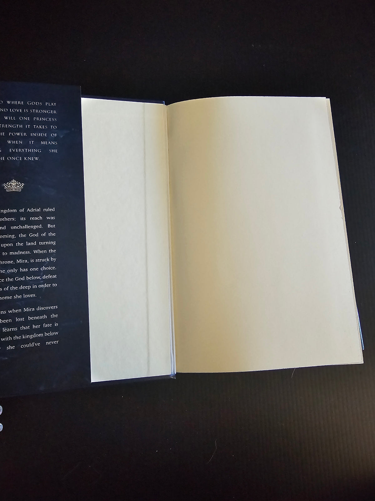 The Kingdom Below - Author's Edition